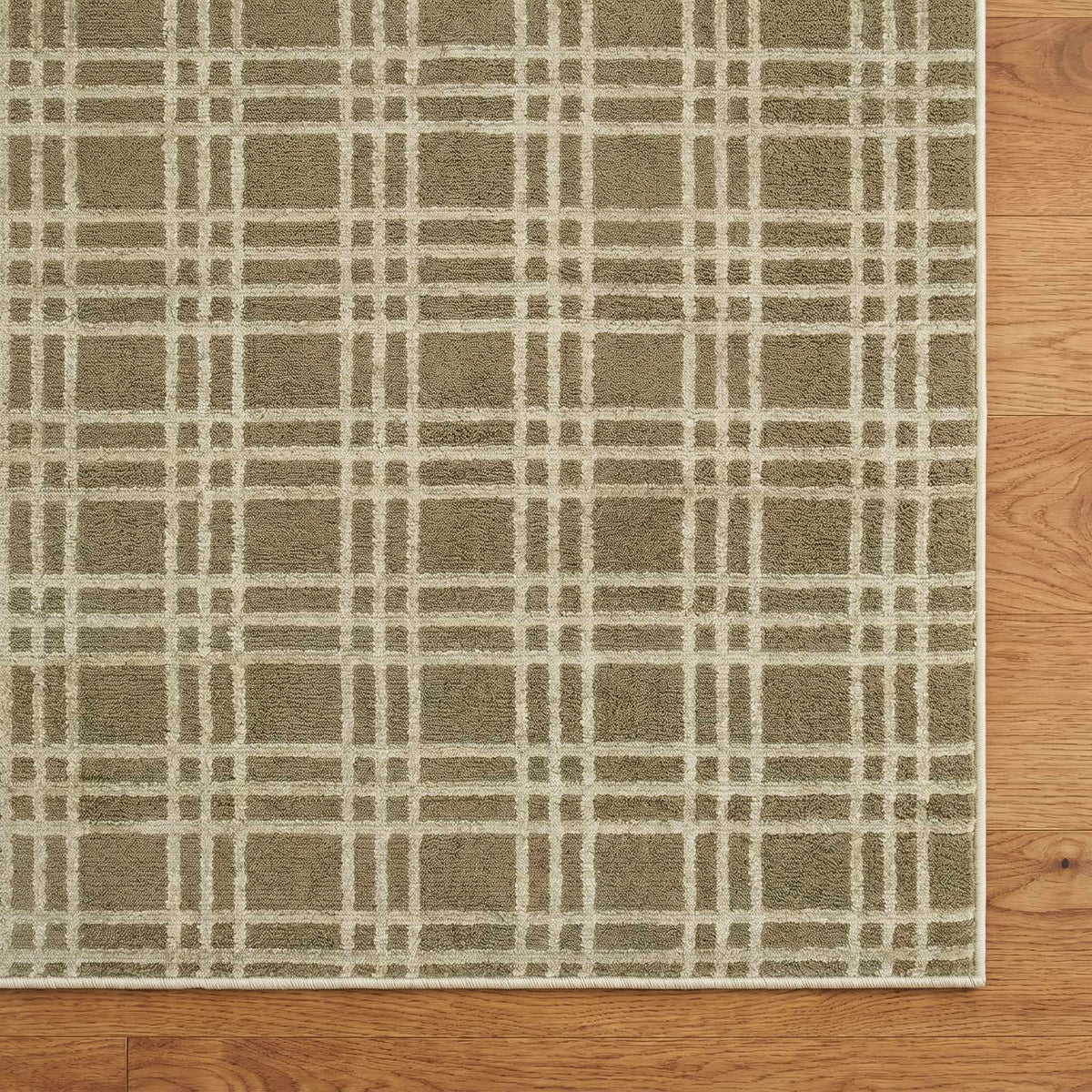 Eliseo Olive Area Rug