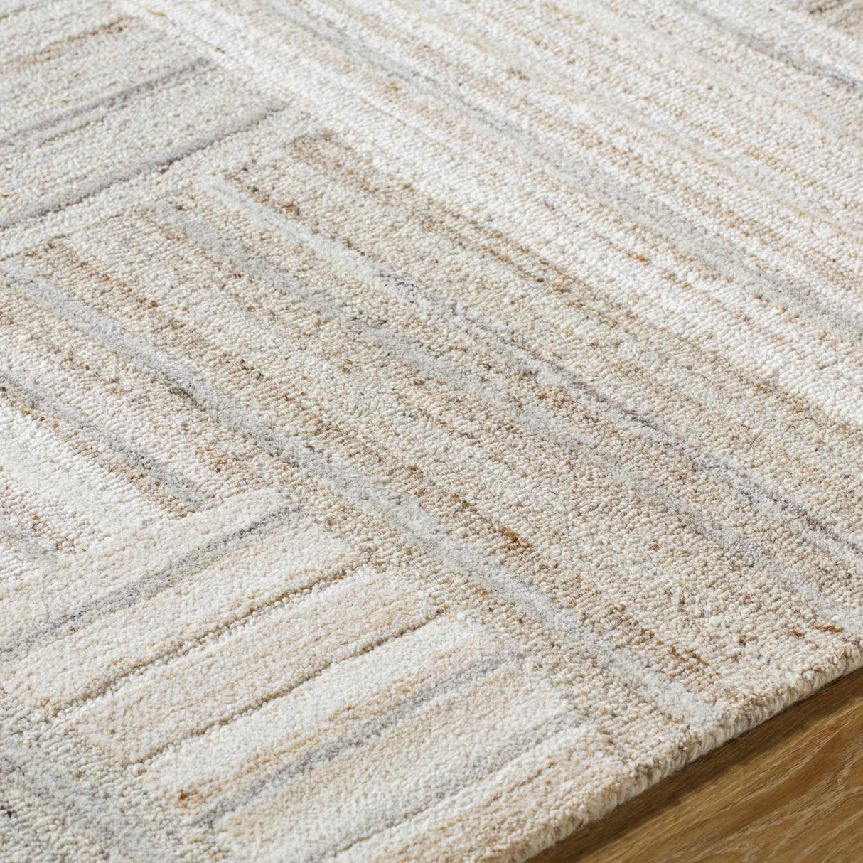 Ashtyn Area Rug