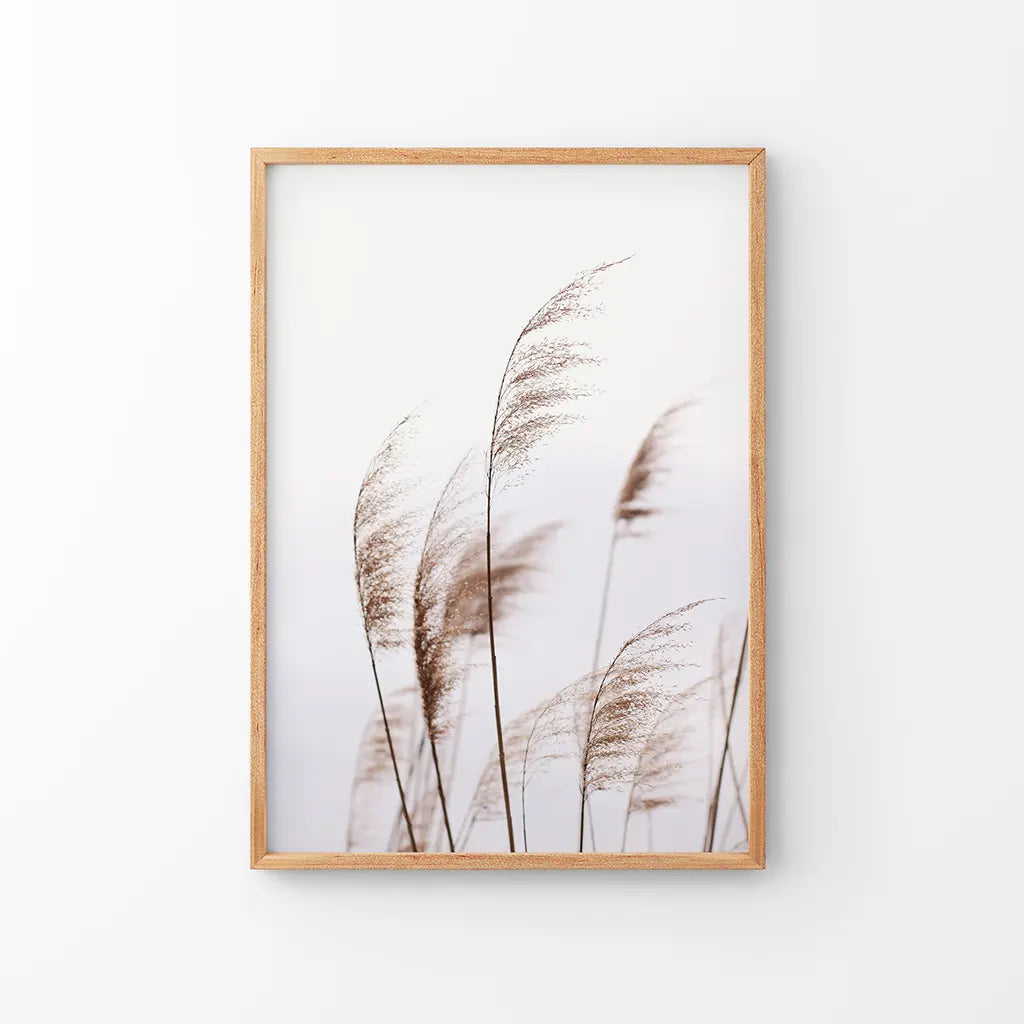 Beige Dried Grass Print. Summer Field