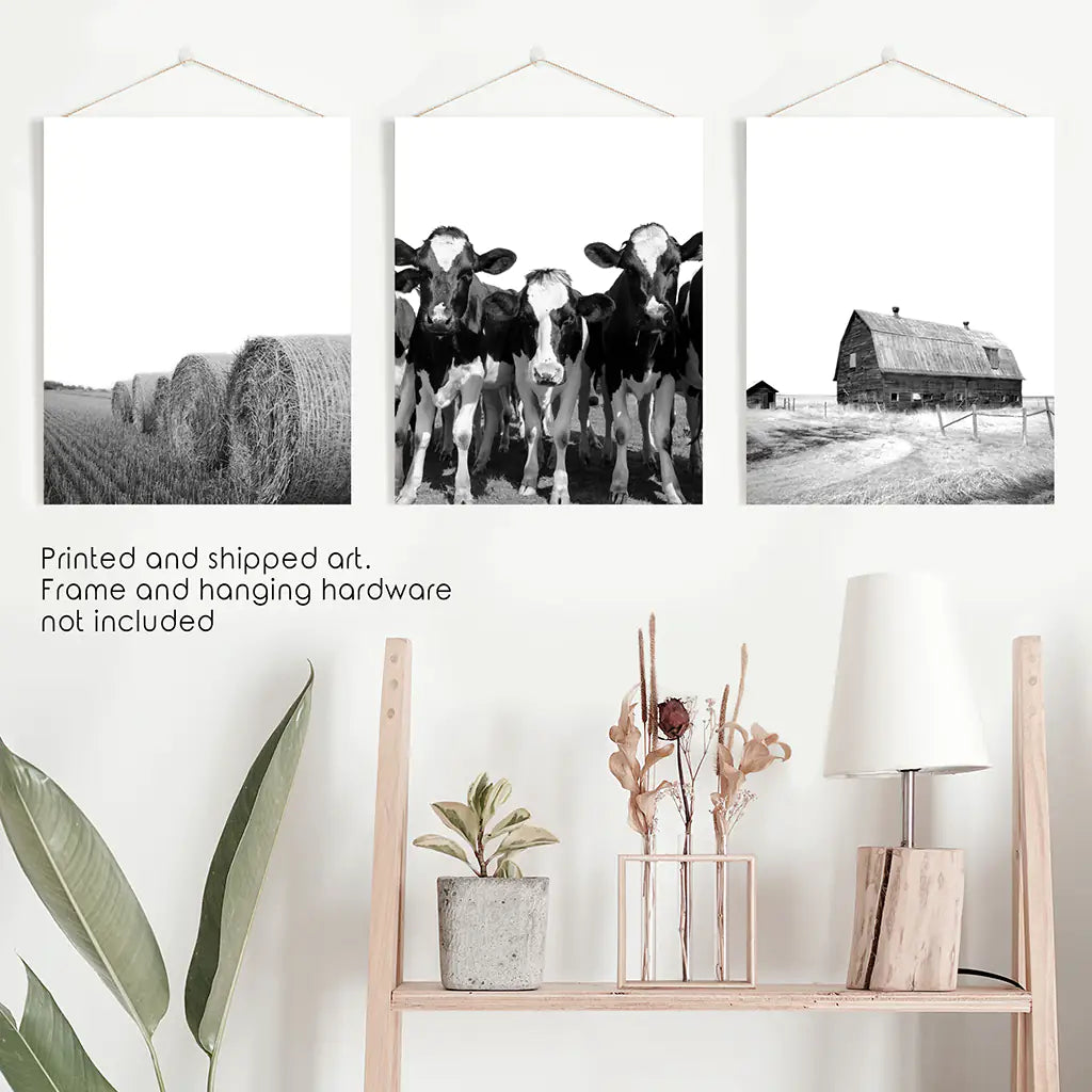Black White Harvest on a Farm Wall Art. Cow, Hay Bale, Barn
