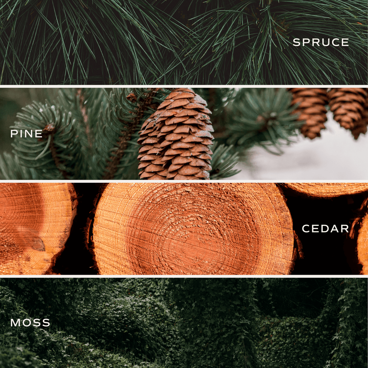 Sweet Water Decor Christmas Tree Clear Reed Diffuser - view 7