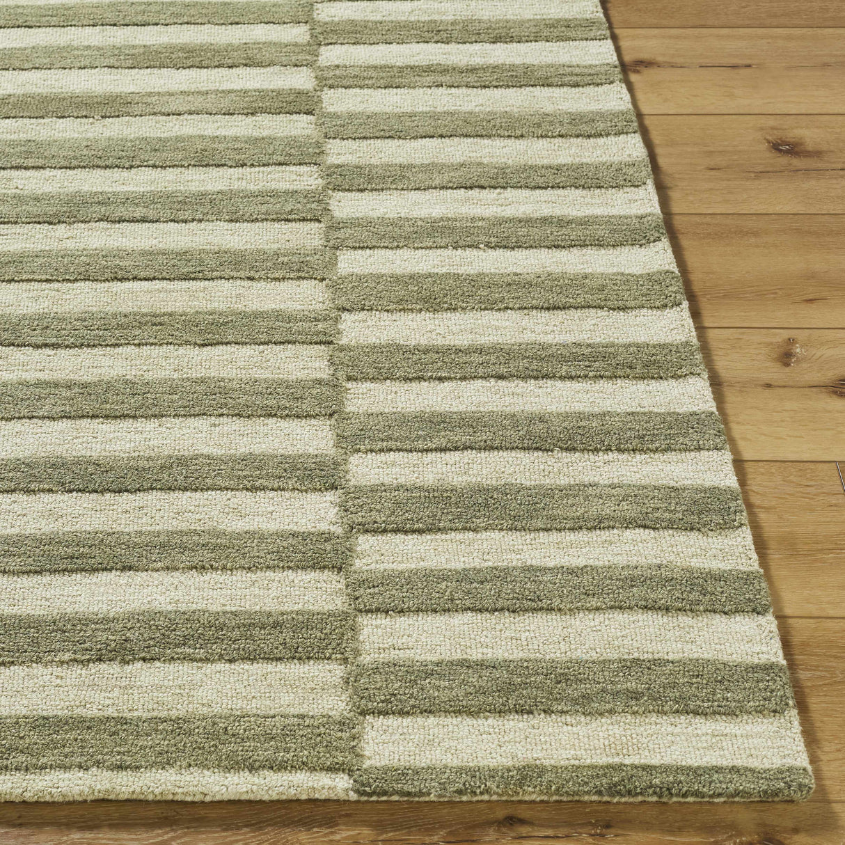 Idaho Broken-Striped Green Area Rug