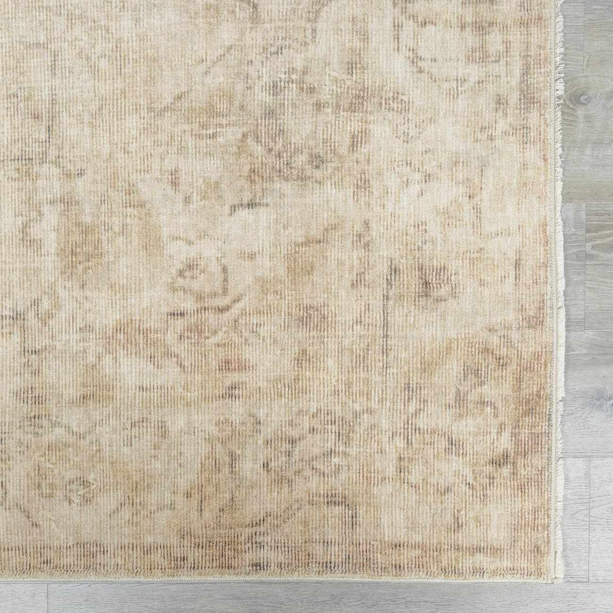 Fetscher I Vintage Medallion Area Rug