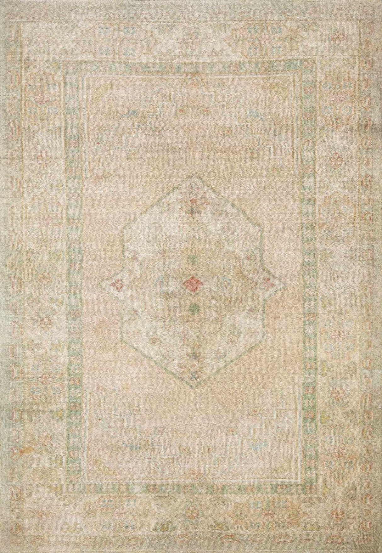 Luciana II Traditional Medallion Area Rug