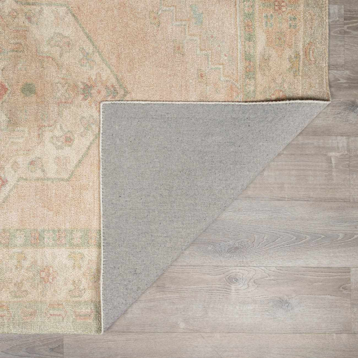 Luciana II Traditional Medallion Area Rug