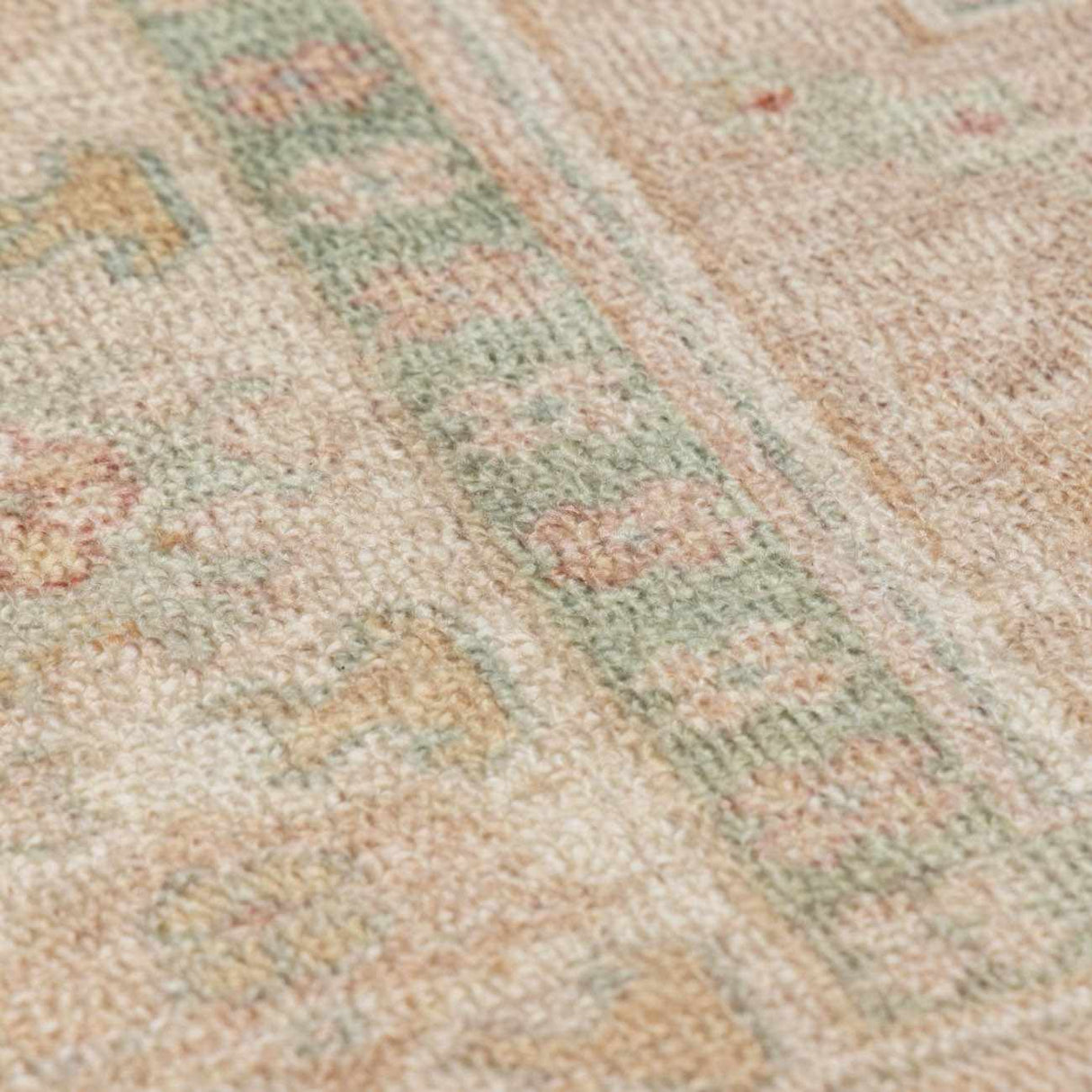 Luciana II Traditional Medallion Area Rug