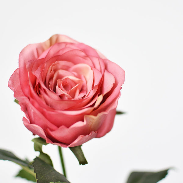 22" Faux Large Rose Bud Stem Cerise / Pink