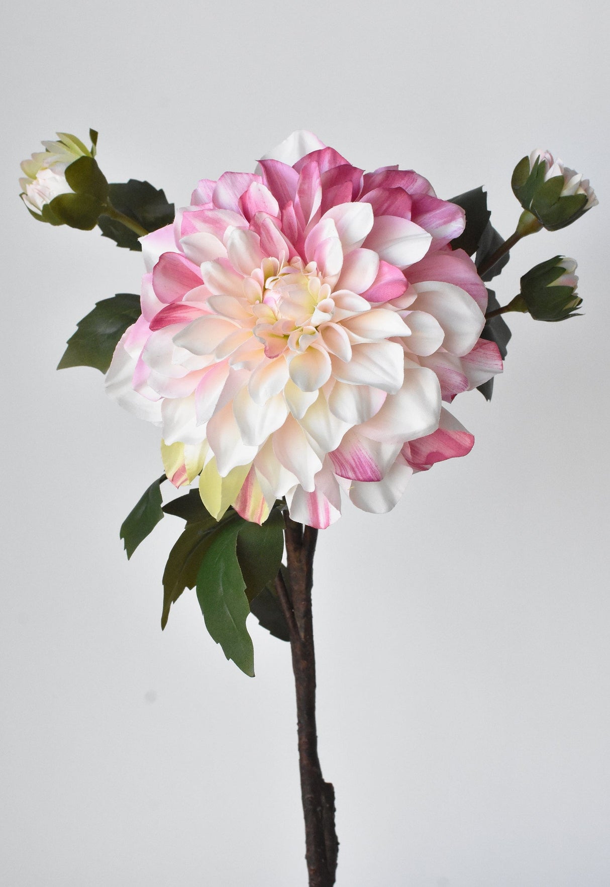 23.5" Faux Pink / Cream Dahlia w/Bud Stem