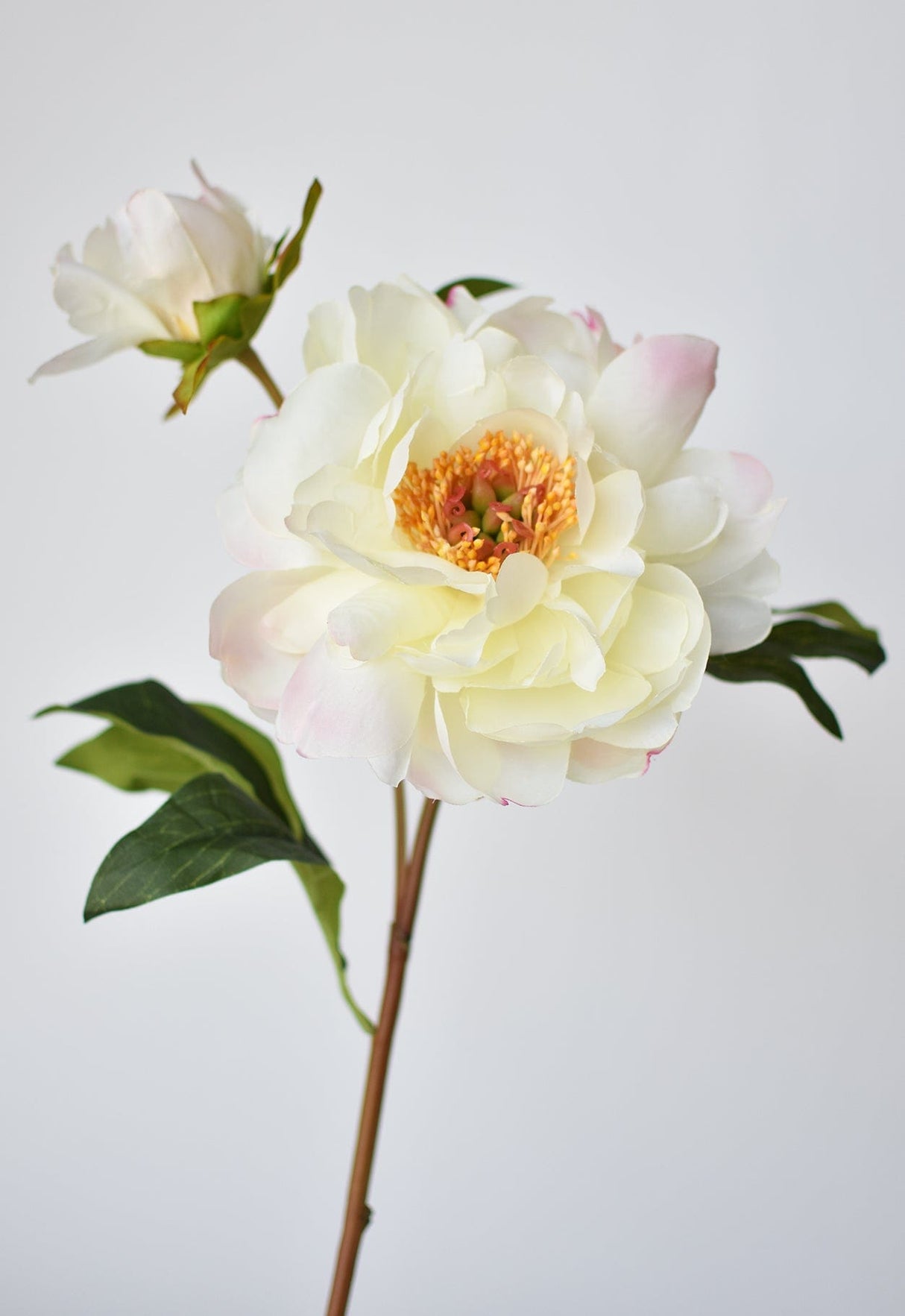 22.5" Faux Peony Stem w/Bud Cream White/Soft Pink