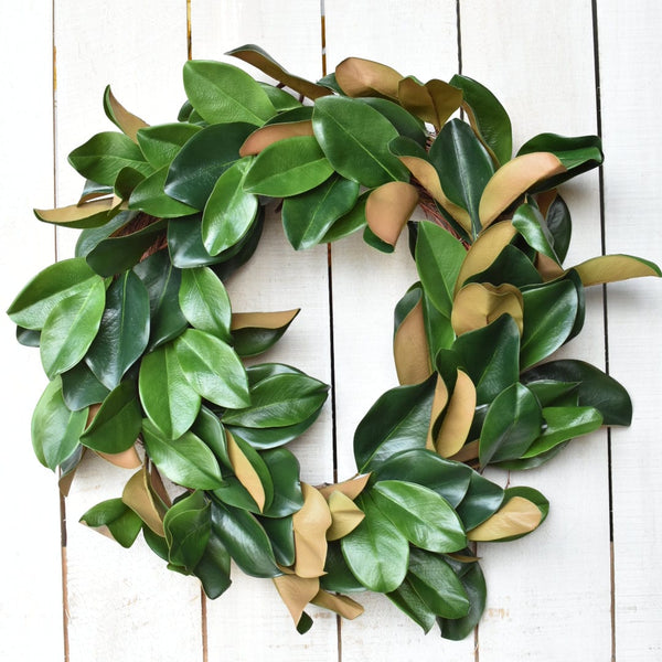 27" Faux Magnolia Leaf Wreath