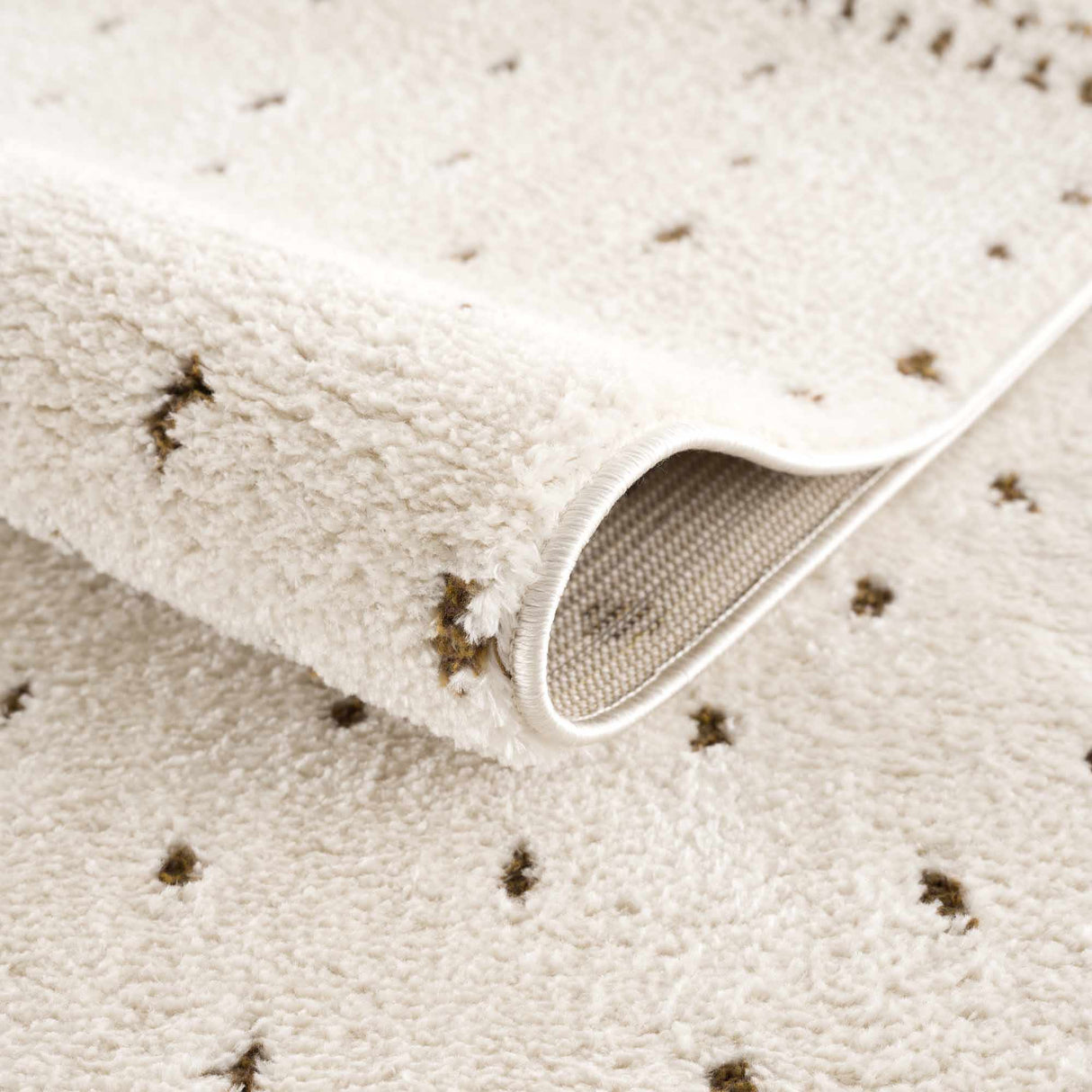 Julie Ivory & Brown Area Rug