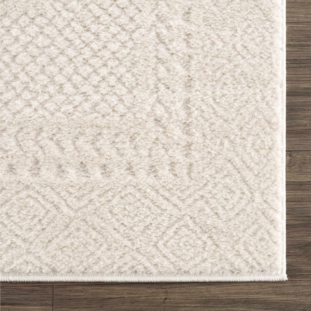 Julio Ivory Area Rug