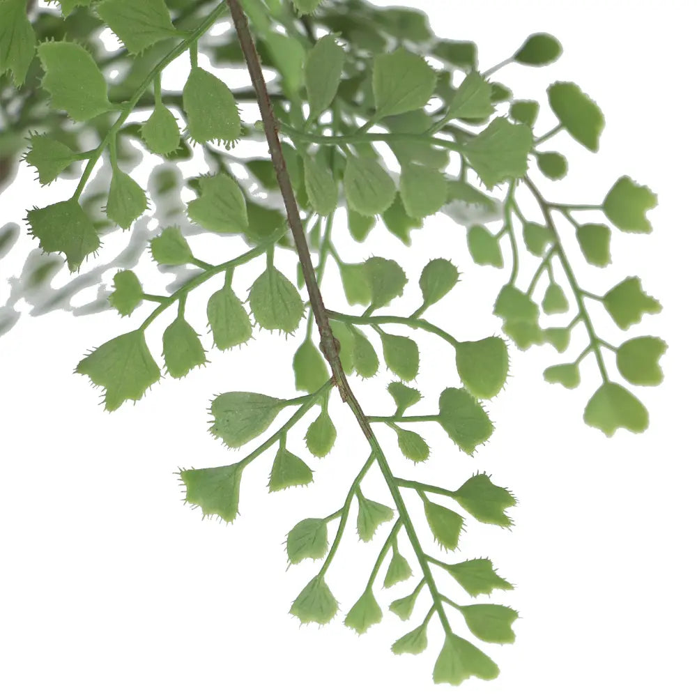 Faux Maidenhair Fern