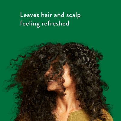 Native Eucalyptus & Mint Scalp Refreshing 2-in-1 16.5 fl oz - Imperfect Container