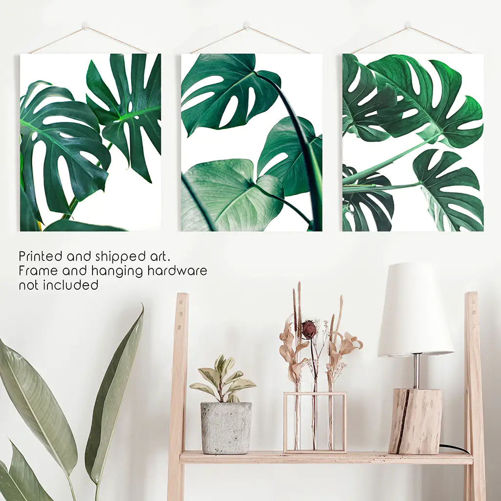 3 Piece Green Monstera Leaf Print Set. Tropical Decor
