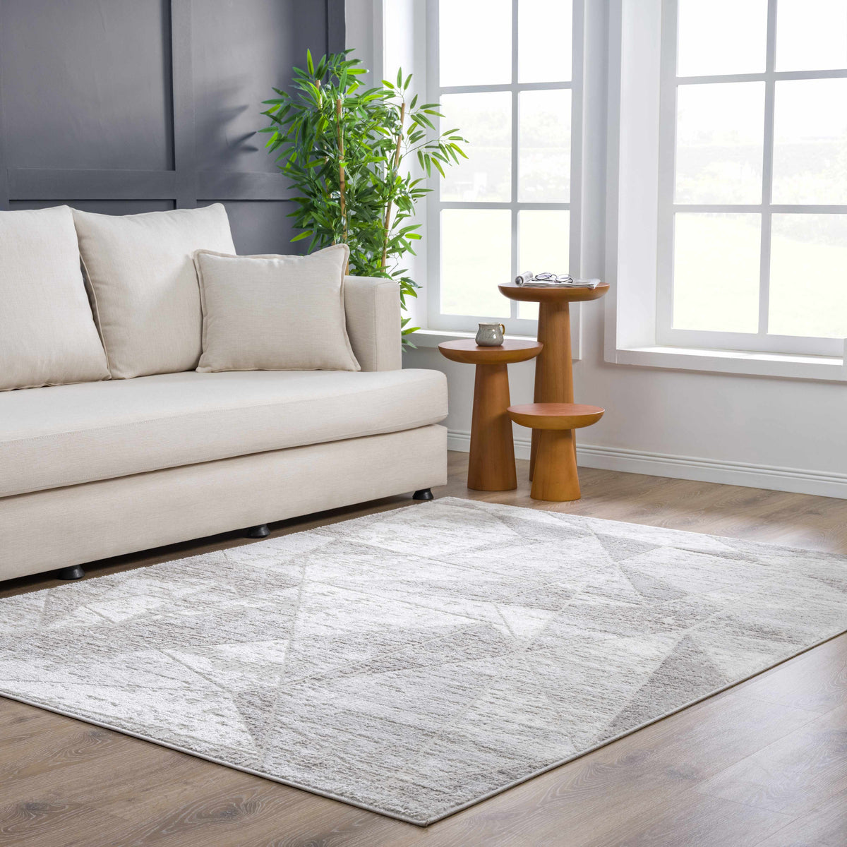 Boutique Rugs Basia Area Rug - view 7