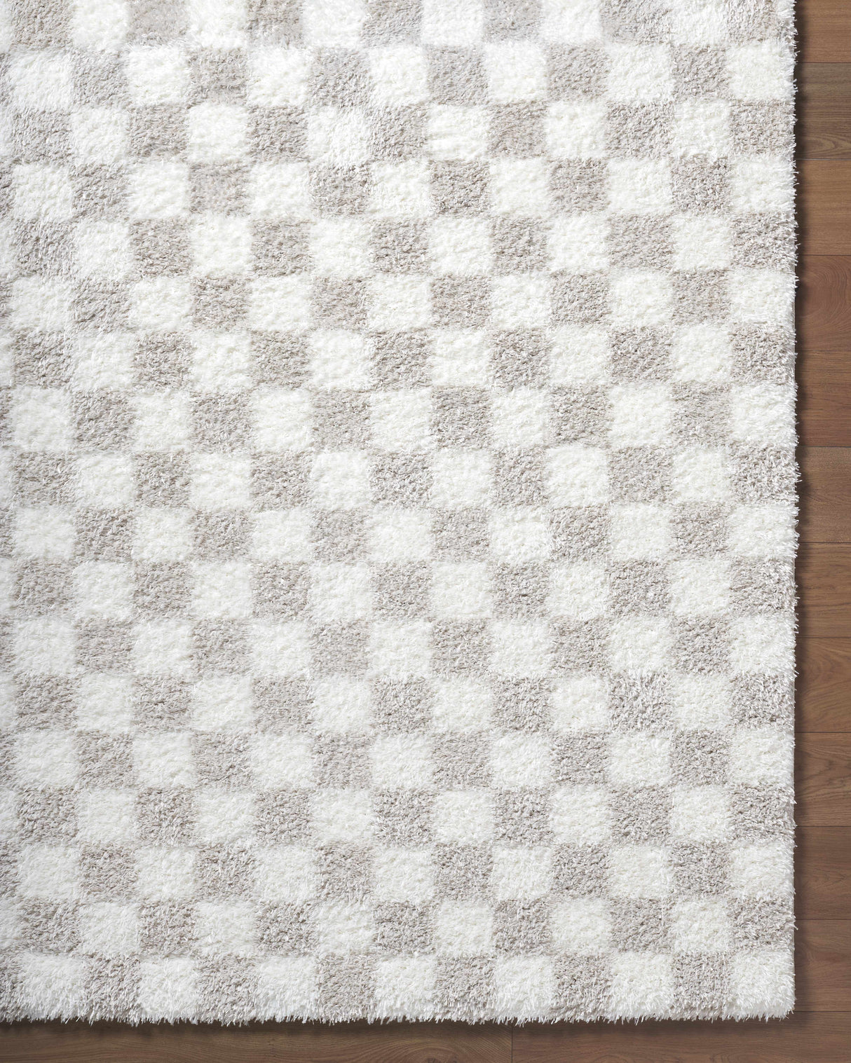 Ardice Area Rug