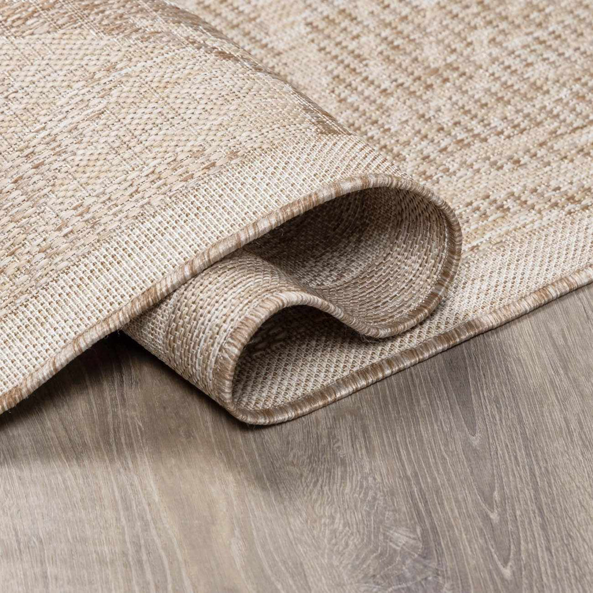 Jens Area Rug