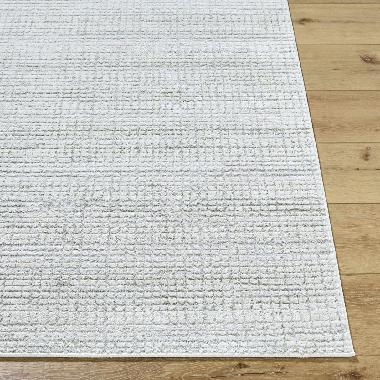 Albena Gray Area Rug