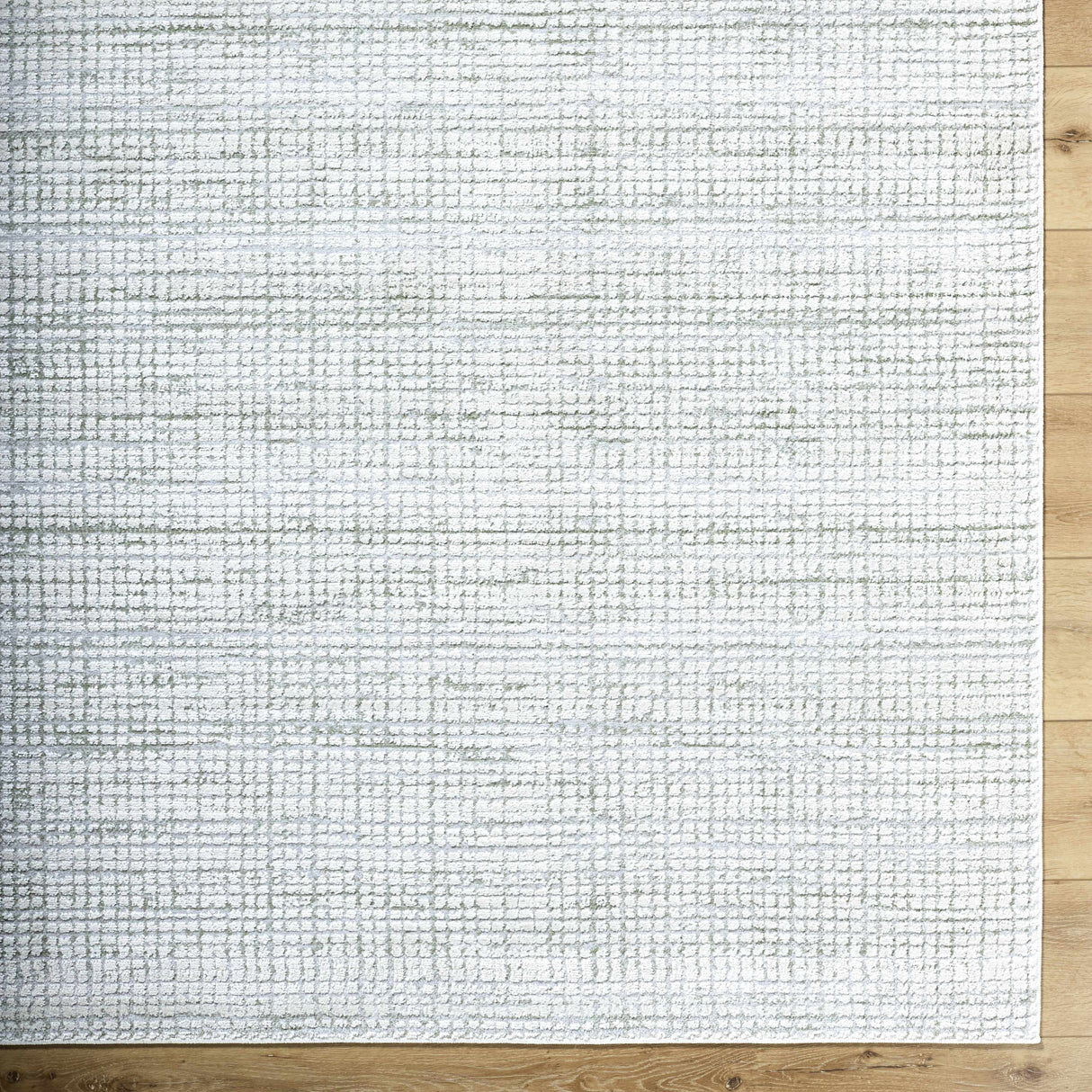 Albena Gray Area Rug