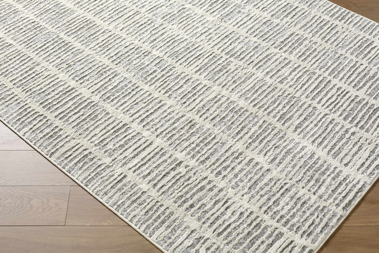 Aricin Gray Area Rug