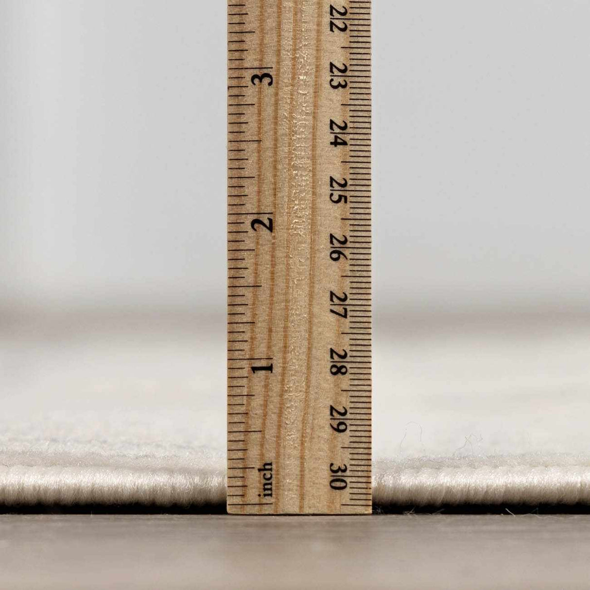 Lascassas Neutral Area Rug