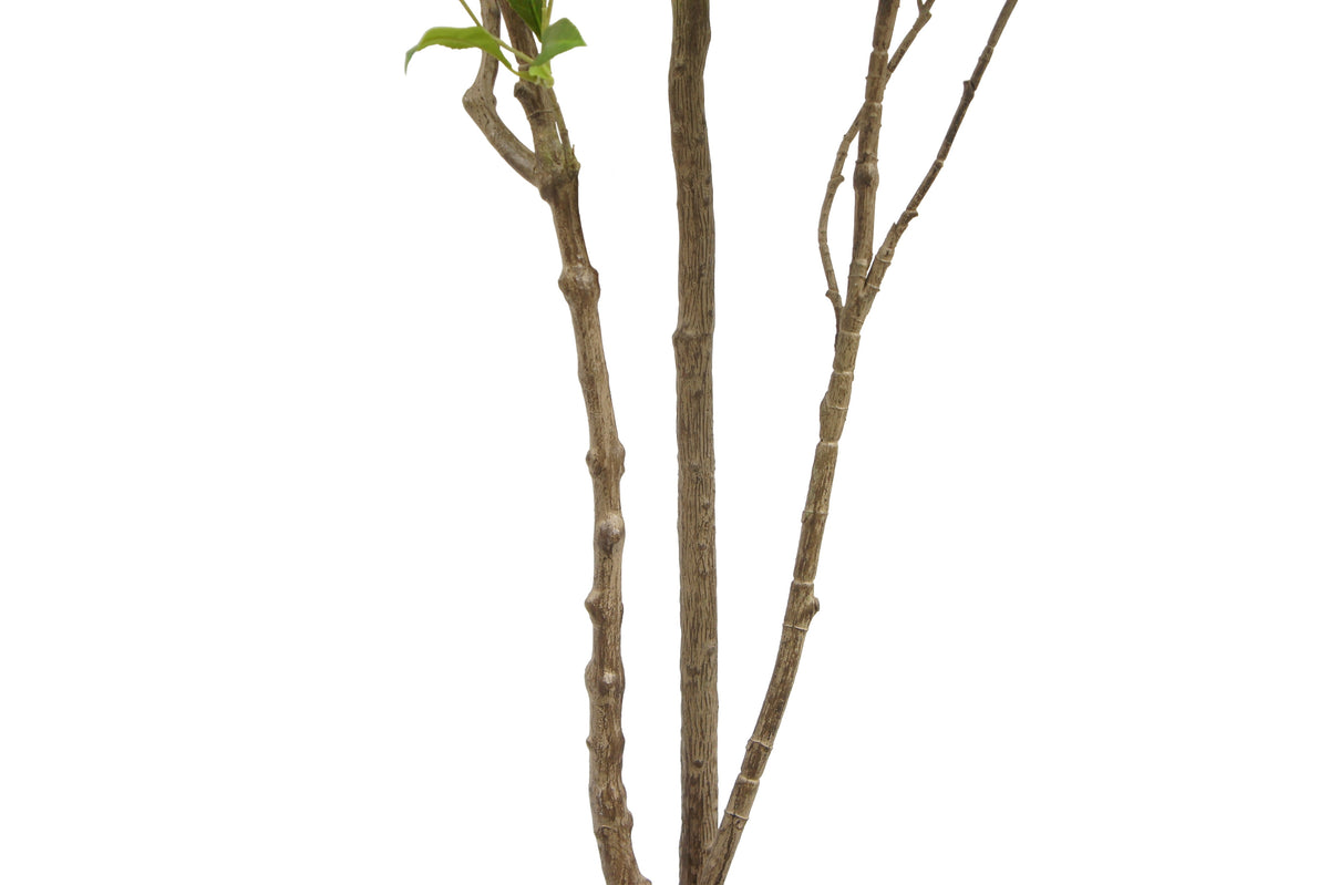 7' Artificial Laurel Tree