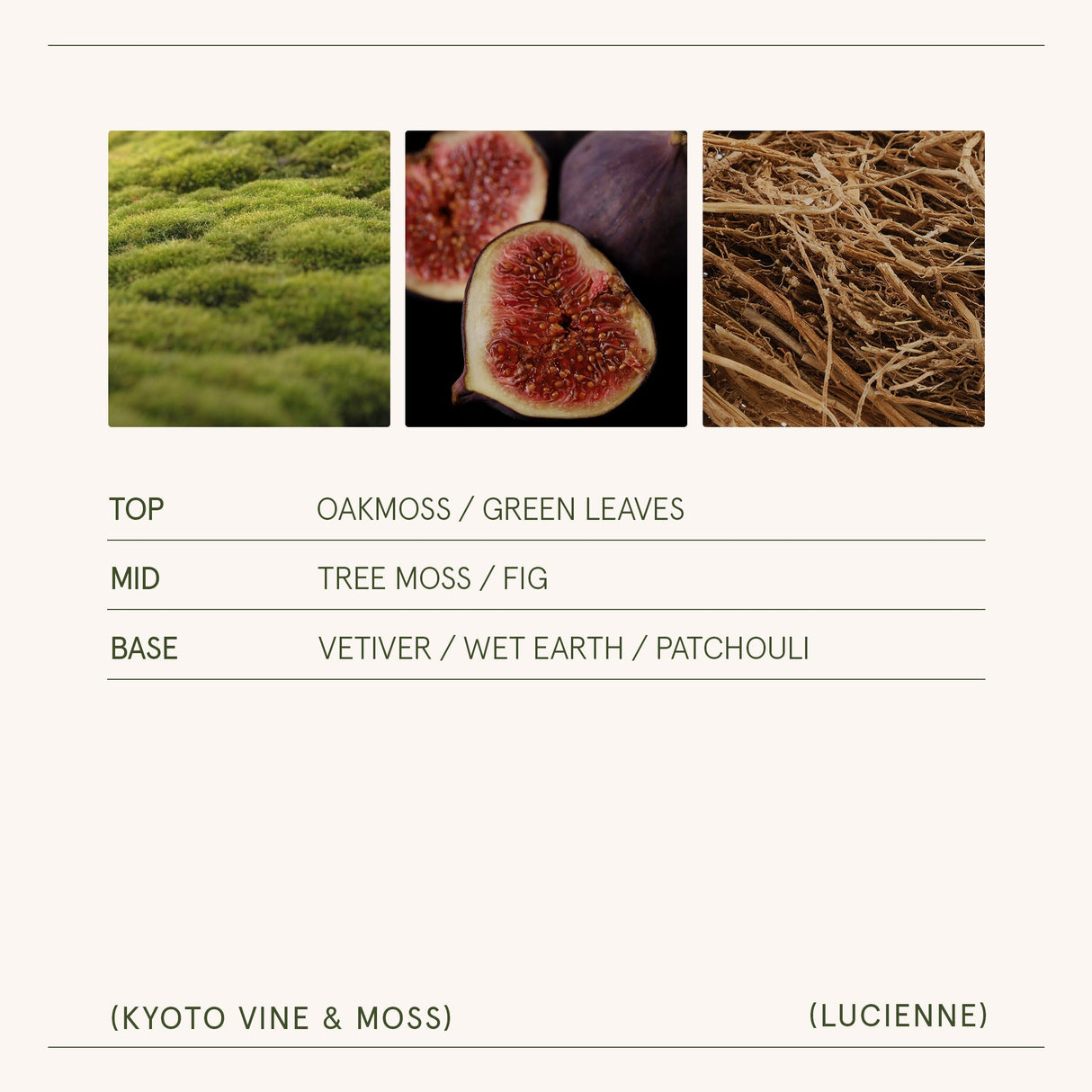 Lucienne - Kyoto Vine & Moss Candle
