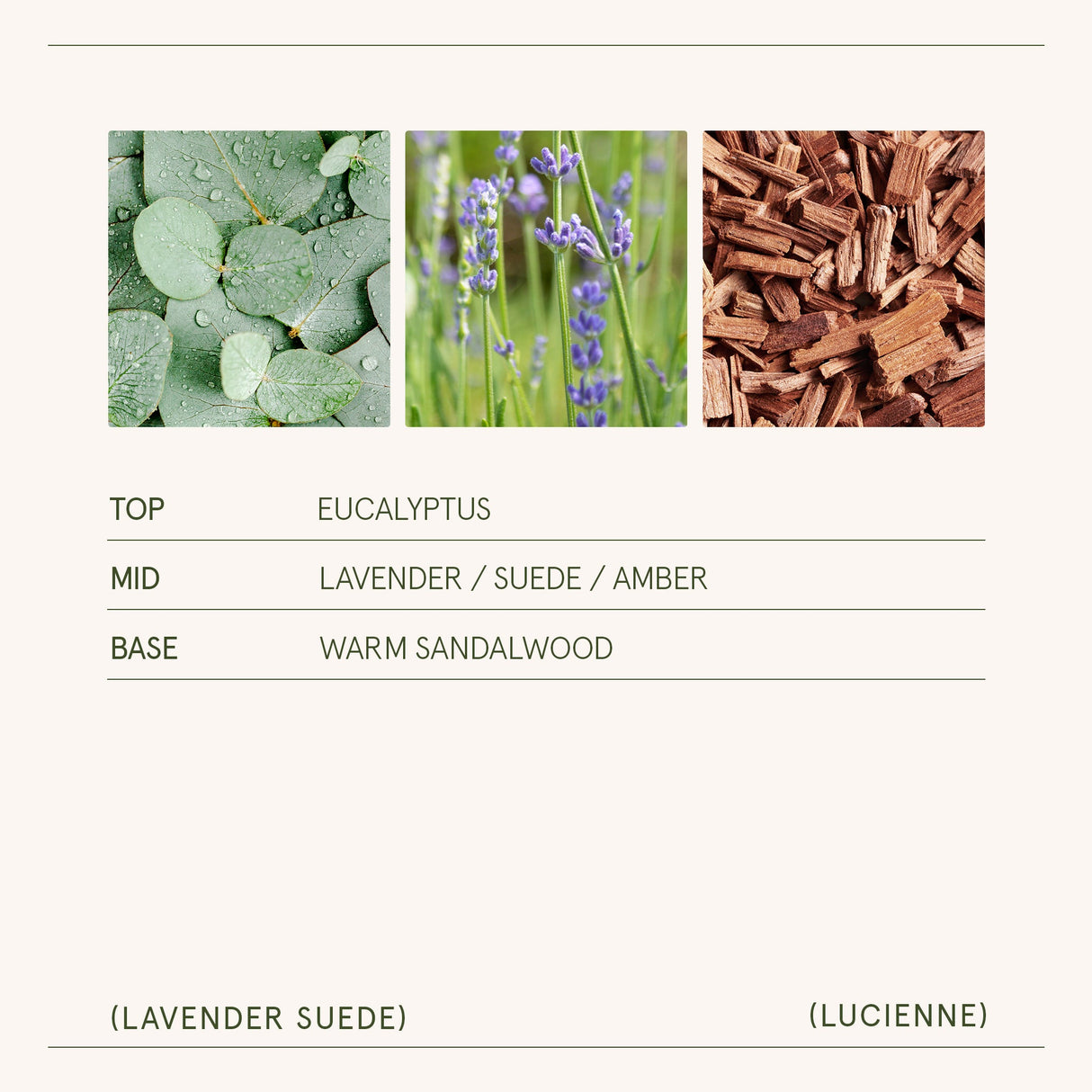Lucienne - Lavender Suede Candle