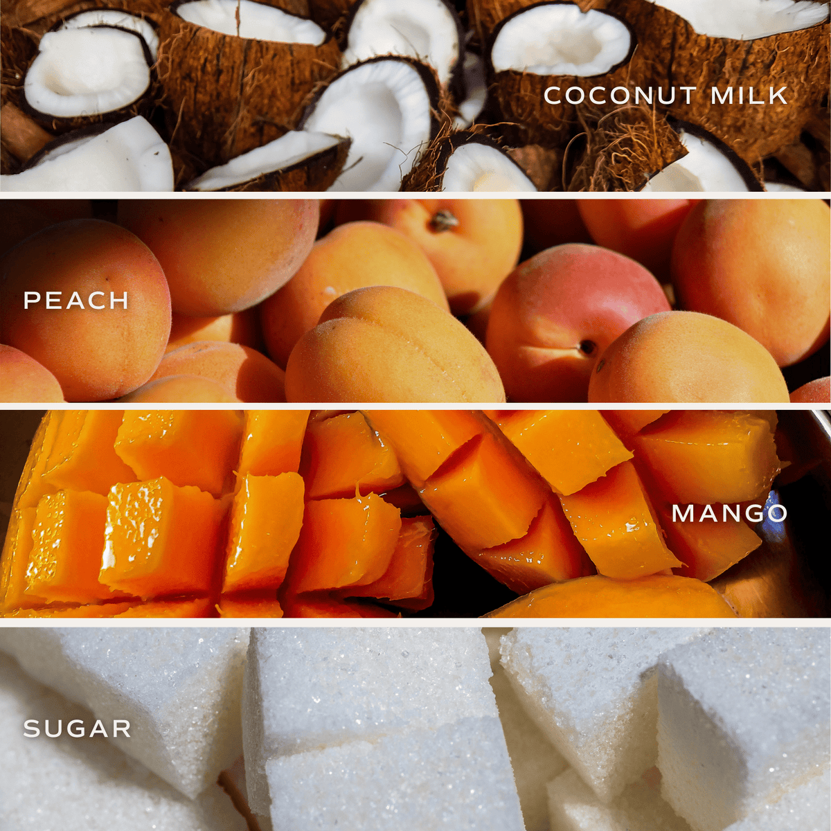 Sweet Water Decor Mango and Coconut Soy Candle - view 4