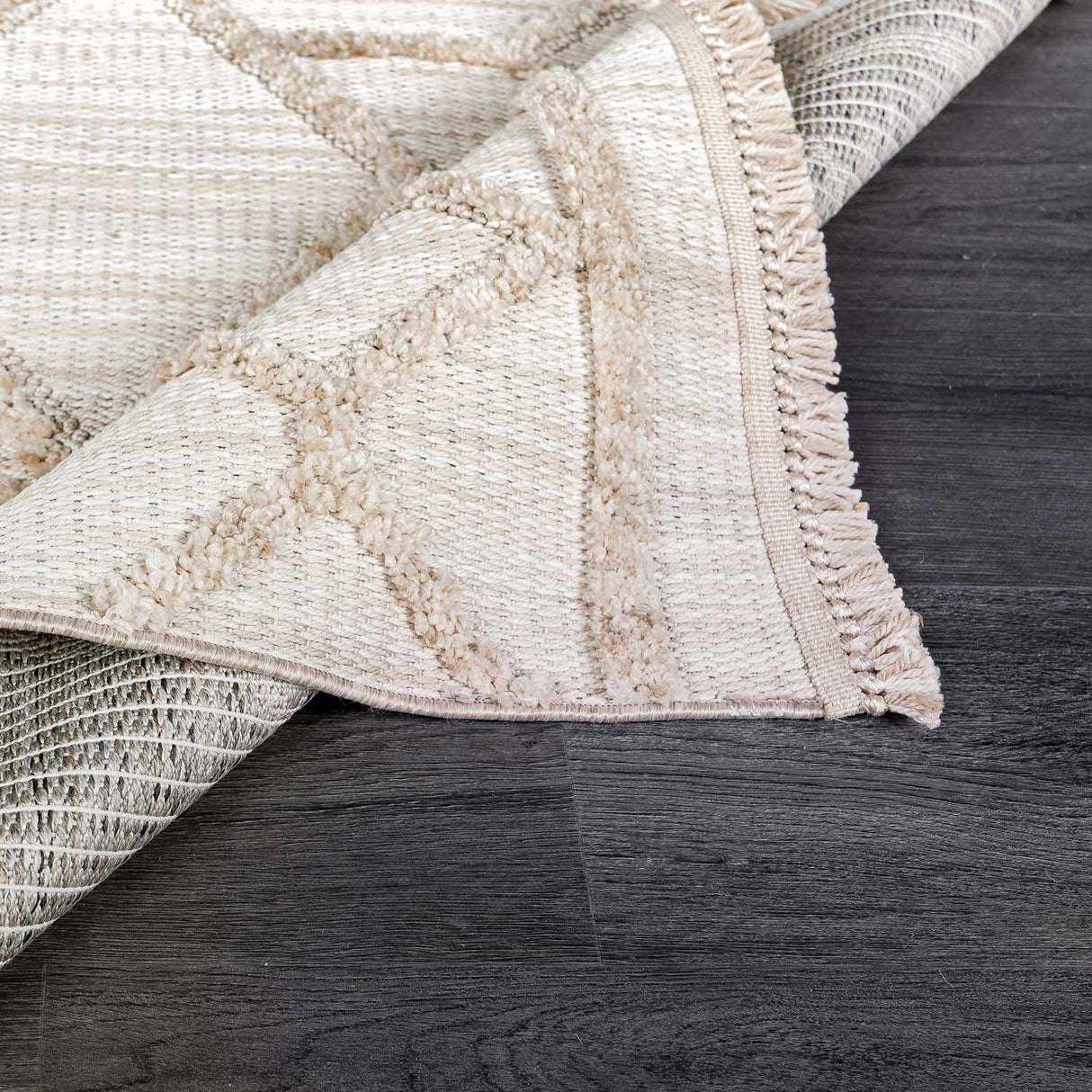 Boutique Rugs Malilinao Area Rug - view 9