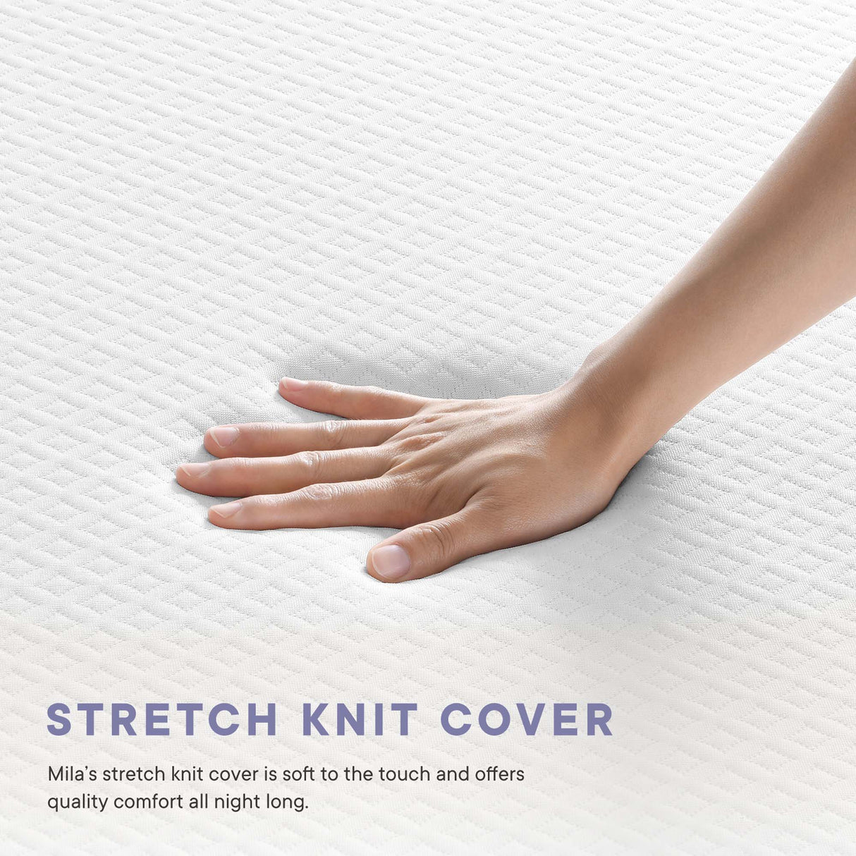 Mila 6" Twin Mattress by Modway