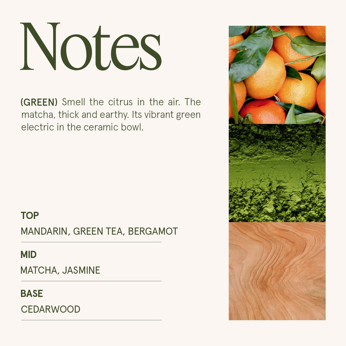 Maelyn - Mandarin Matcha 19oz Candle
