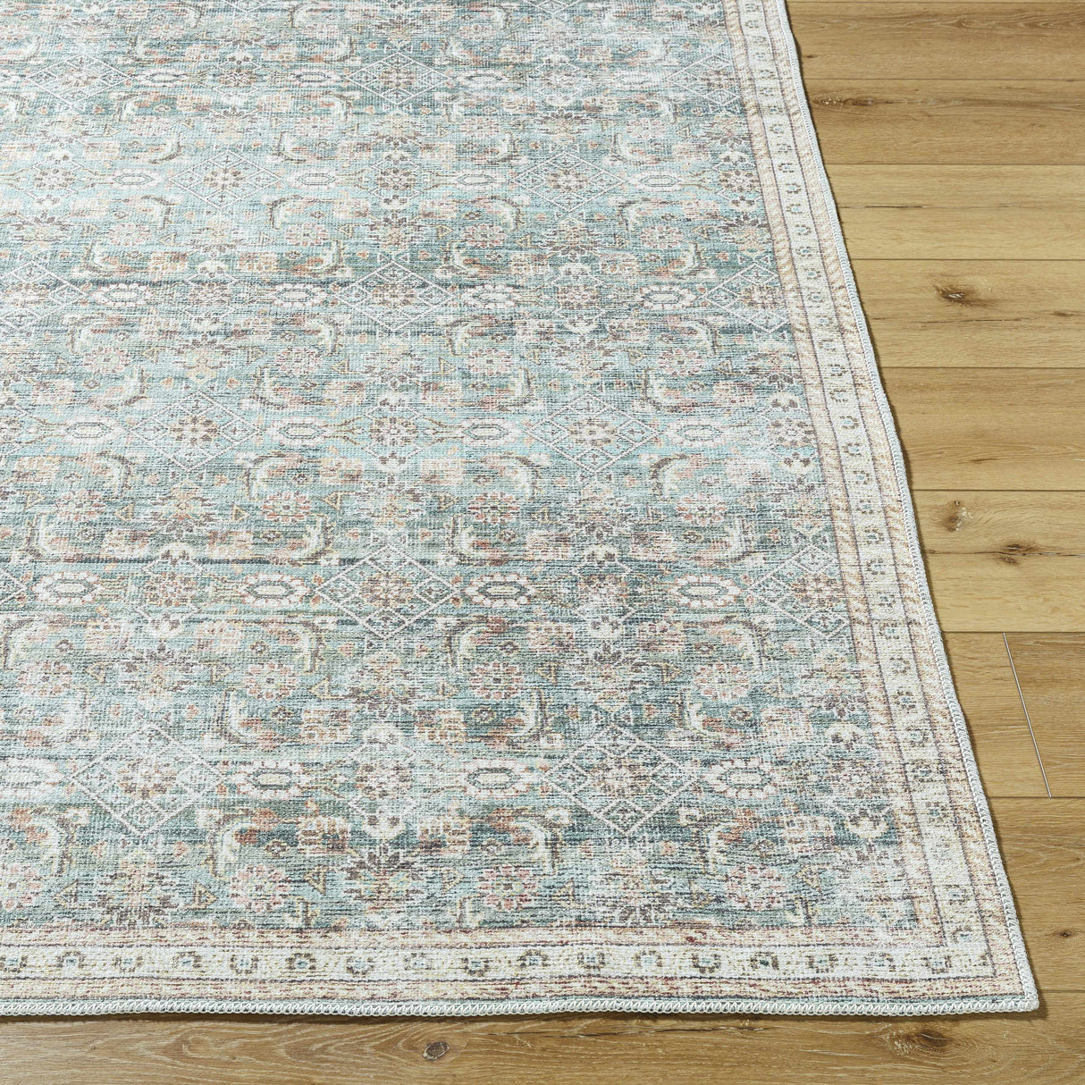 Ayanna Washable Area Rug
