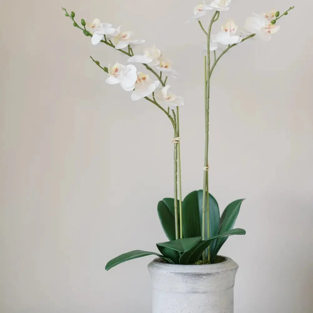 Artificial 2-Stem Phalaenopsis White Orchid