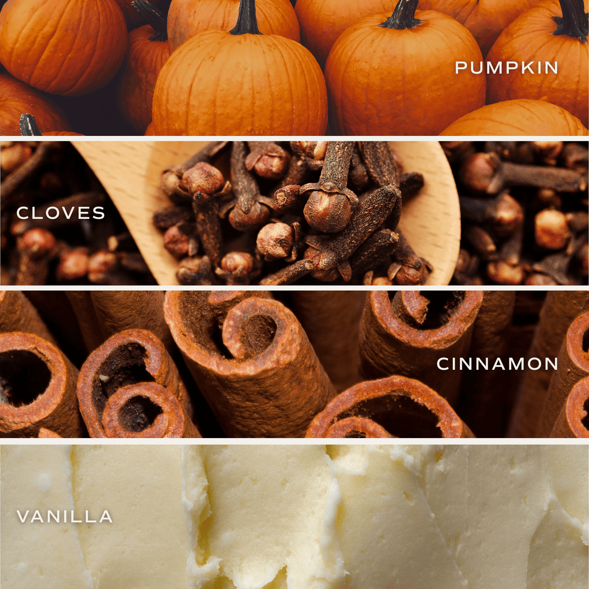 Pumpkin Spice Amber Reed Diffuser
