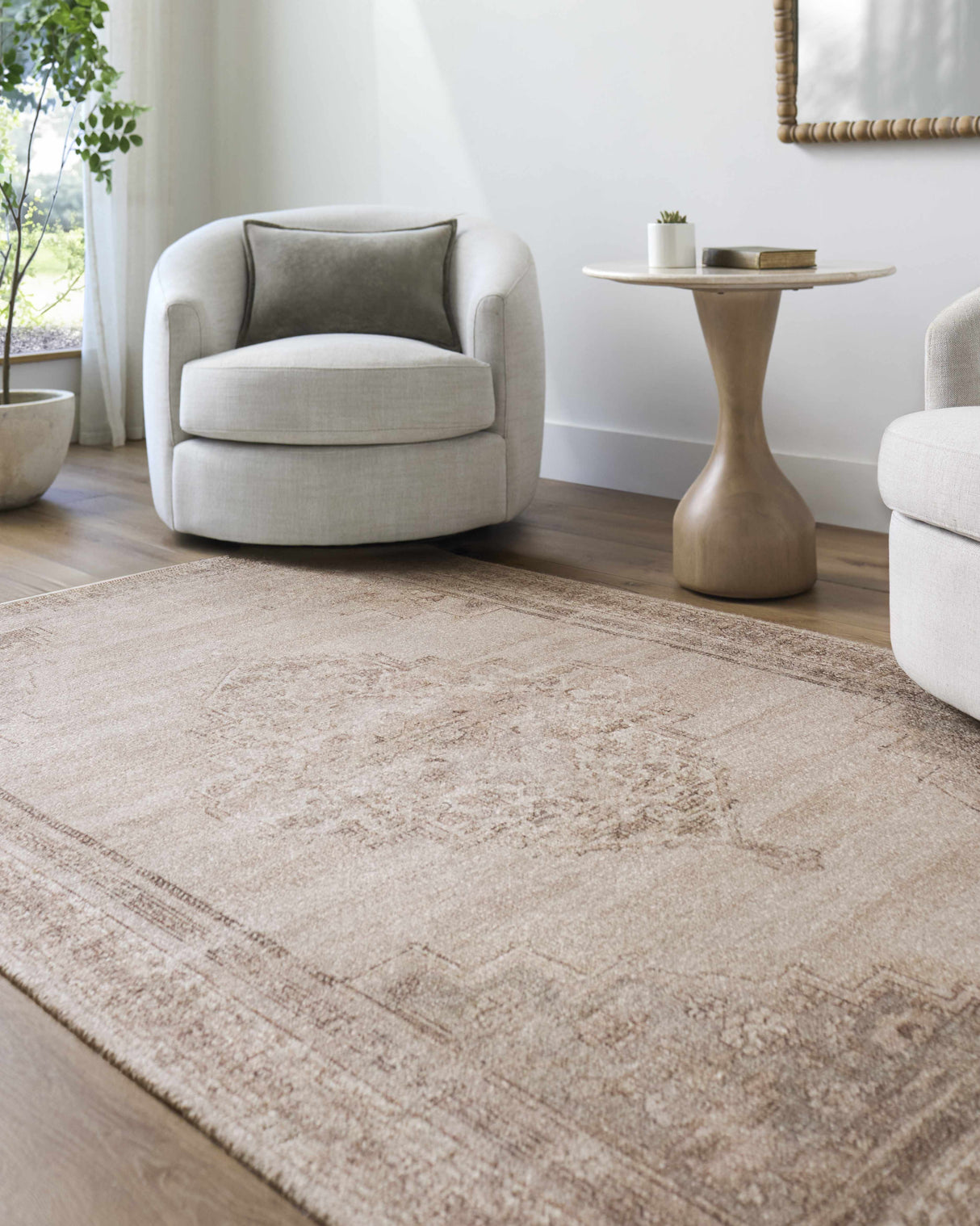 Luciana III Traditional Medallion Area Rug