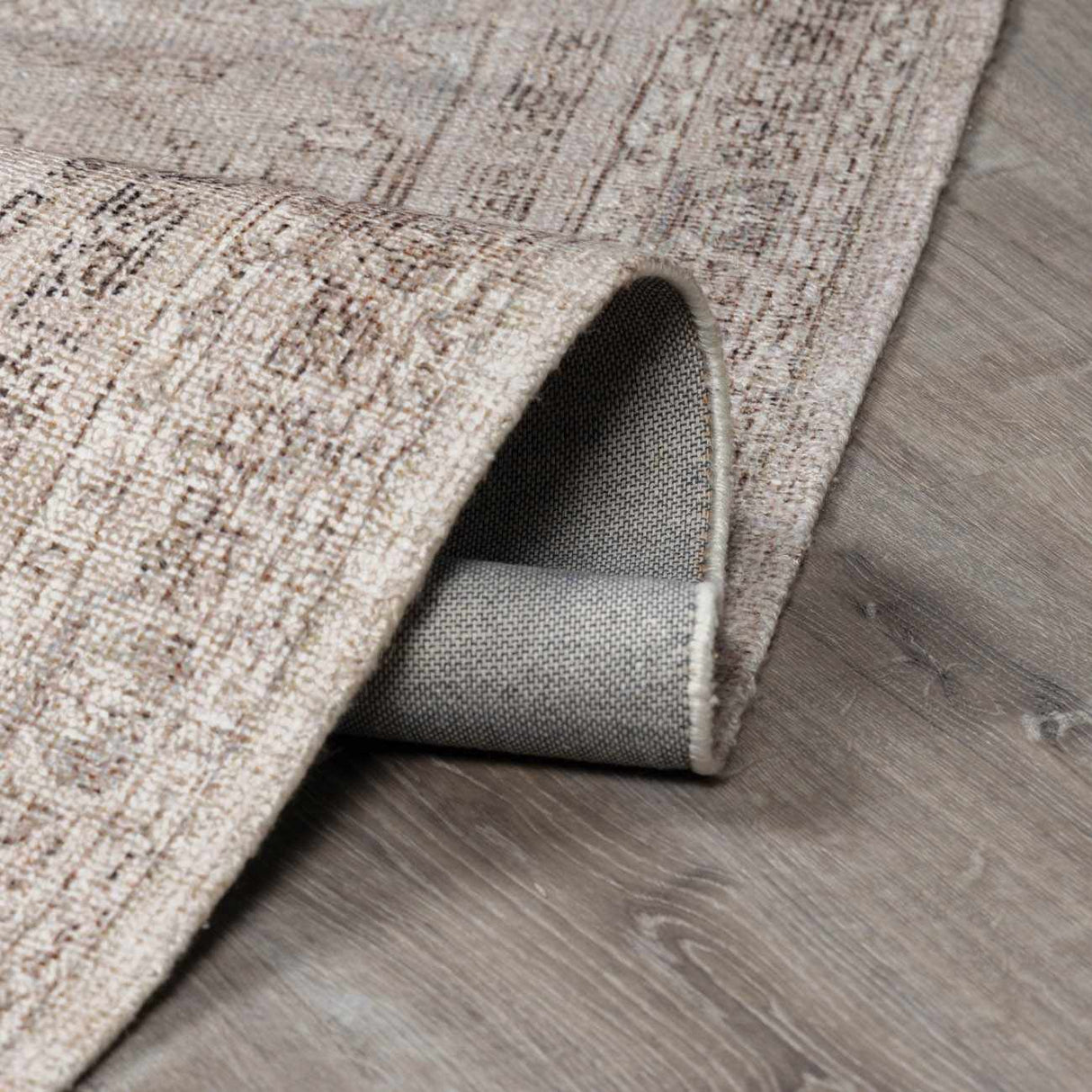 Luciana III Traditional Medallion Area Rug