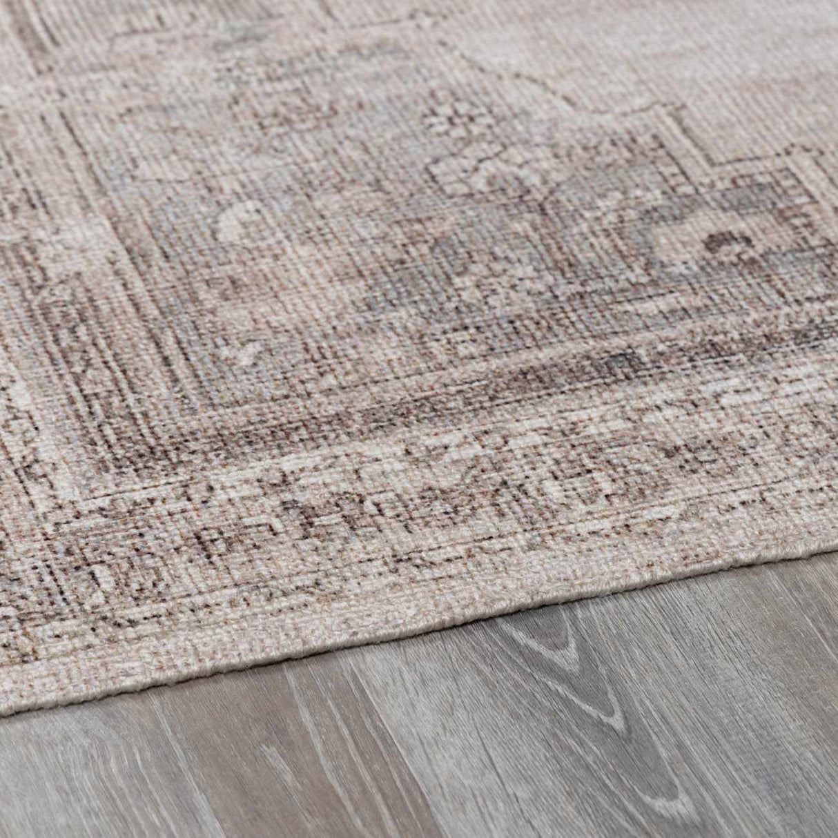 Luciana III Traditional Medallion Area Rug