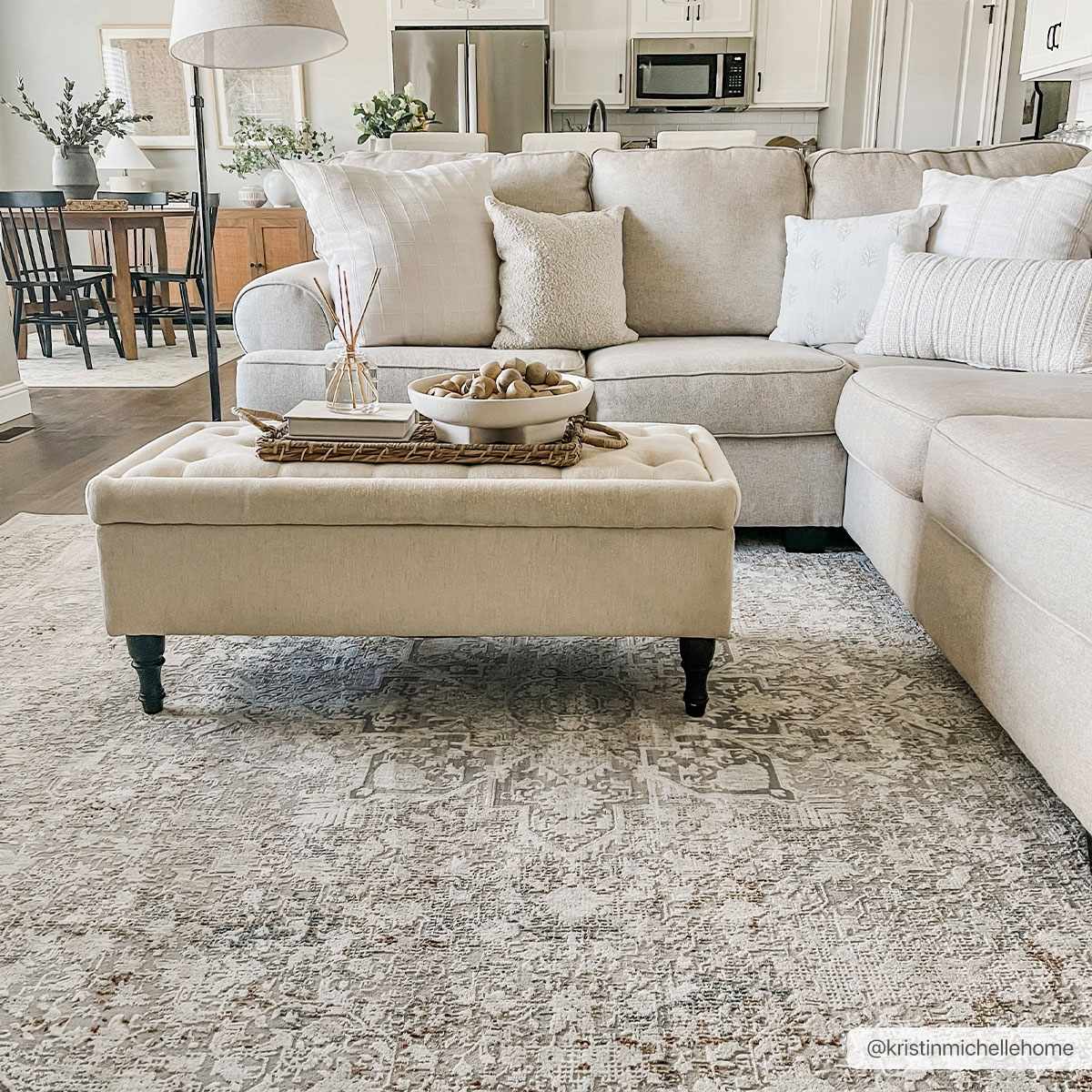 Eley Traditional Area Rug - Clearance