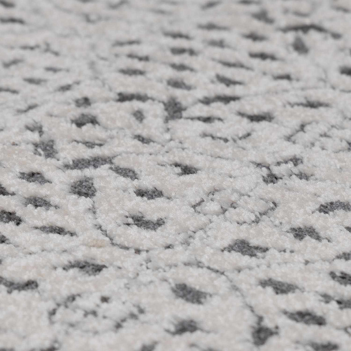 Boutique Rugs Sattley Area Rug - view 17