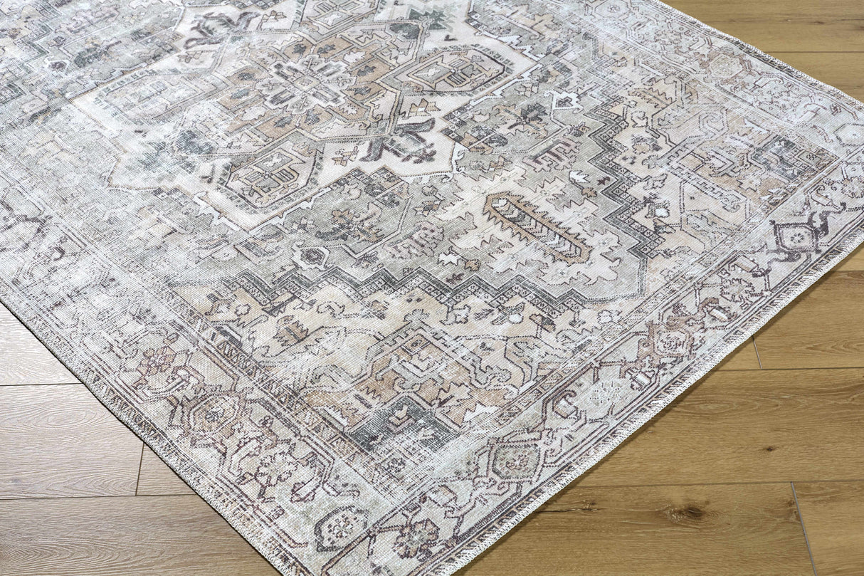 Nadia Area Rug