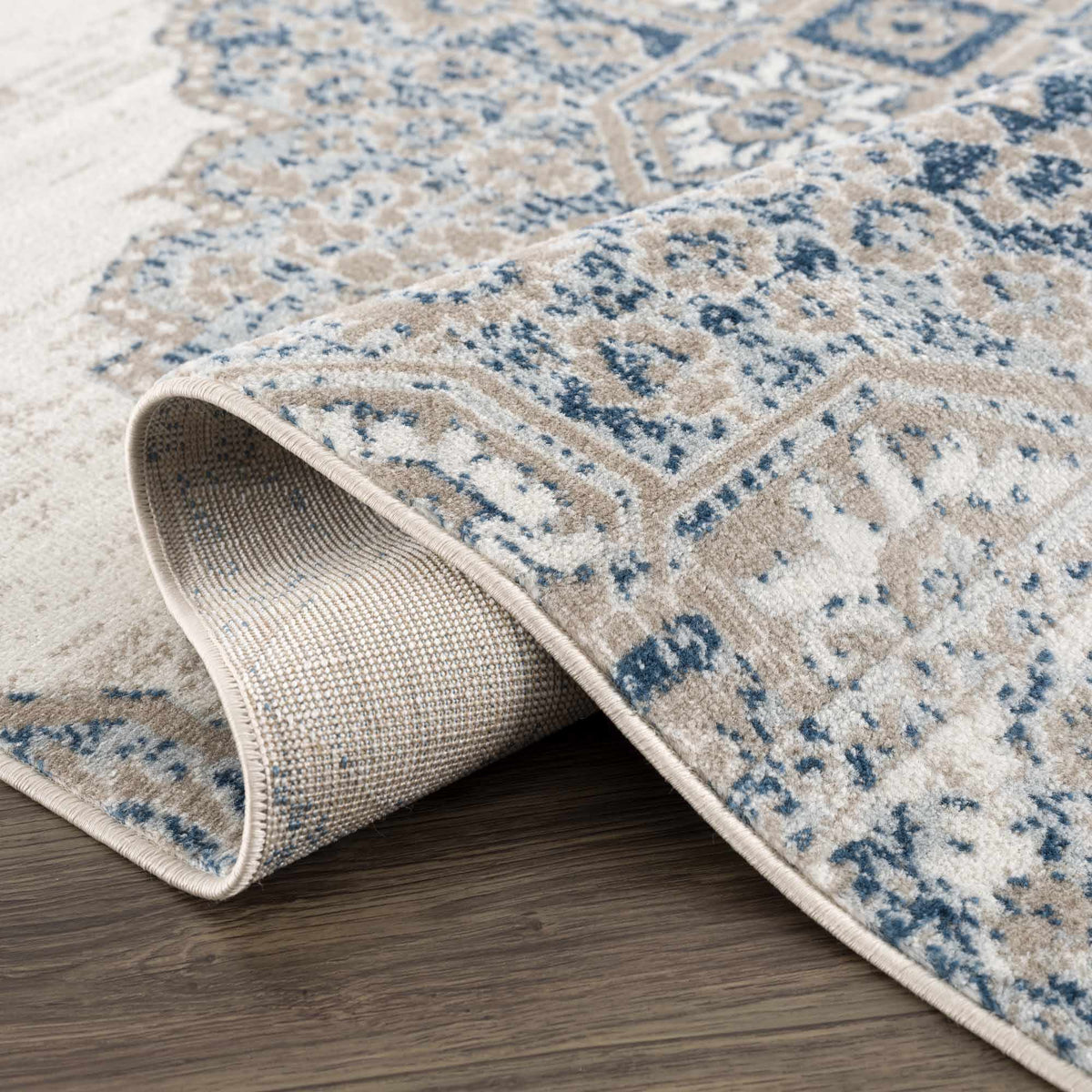 Boutique Rugs Amir Area Rug - view 17