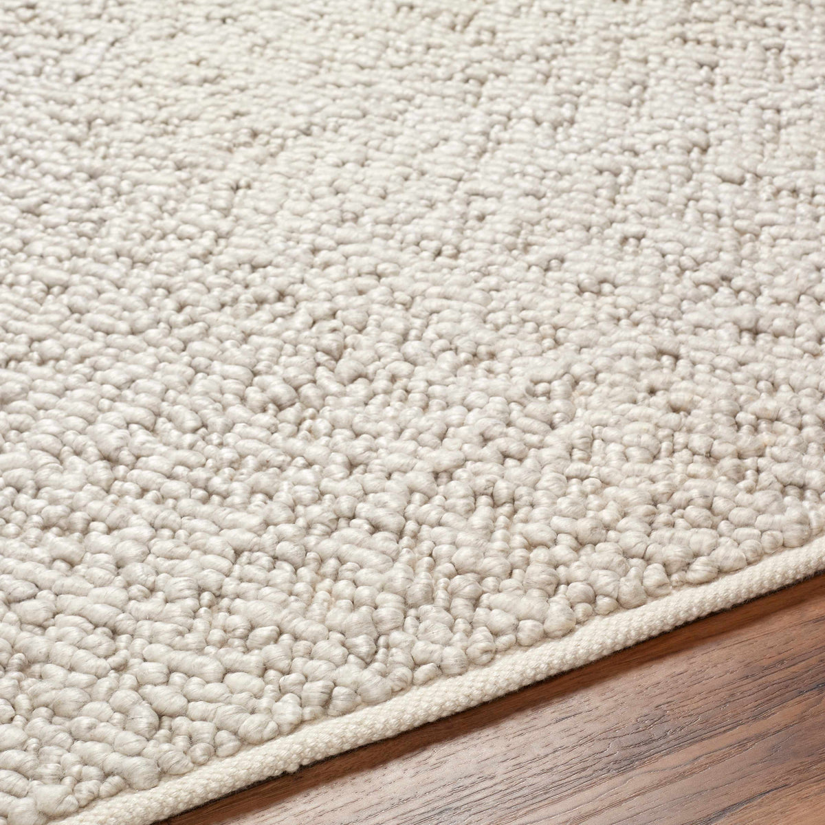 Boutique Rugs Oved Area Rug - view 6