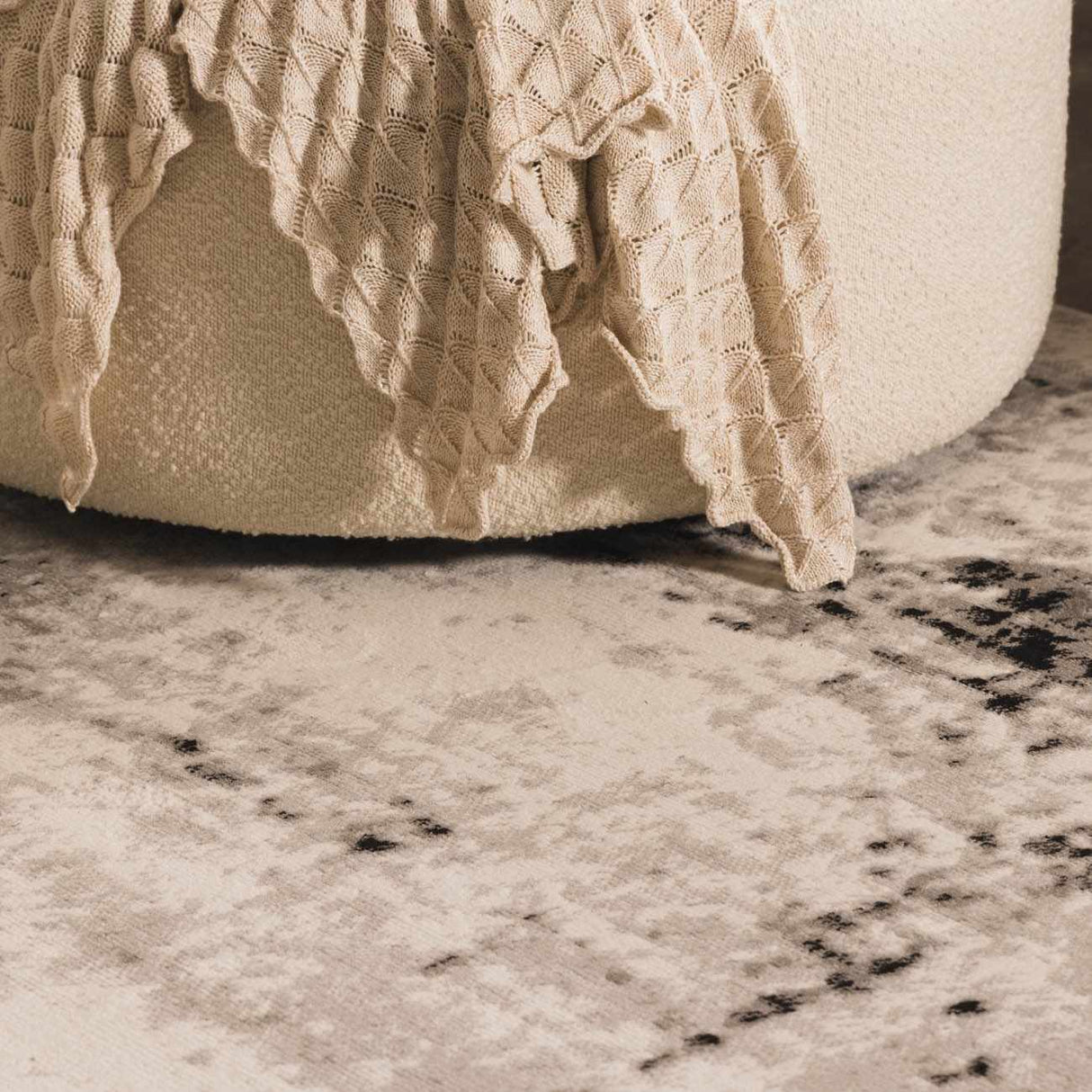 Swansboro Area Rug