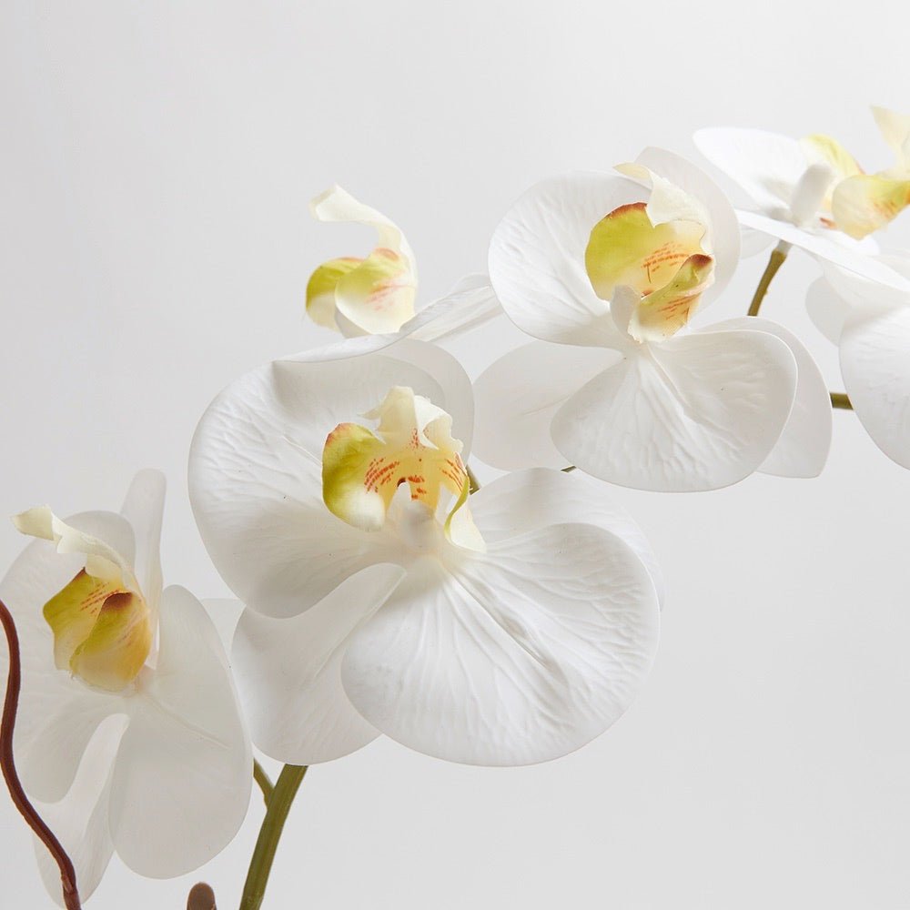 Artificial White Double Stem Orchid
