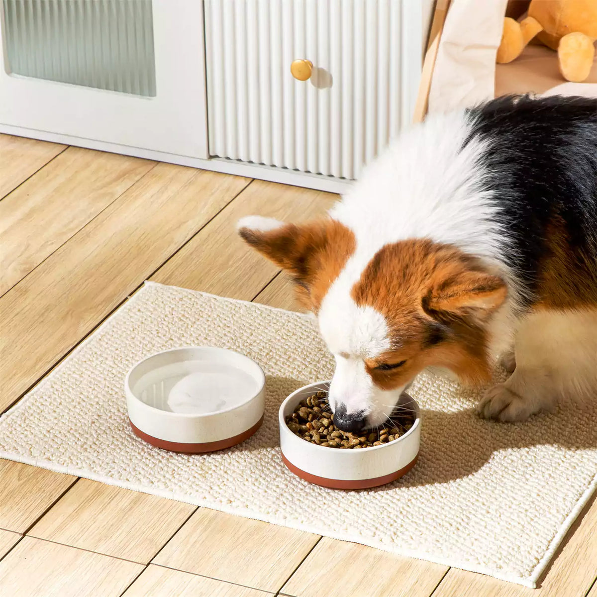 Tara Dog Bowls