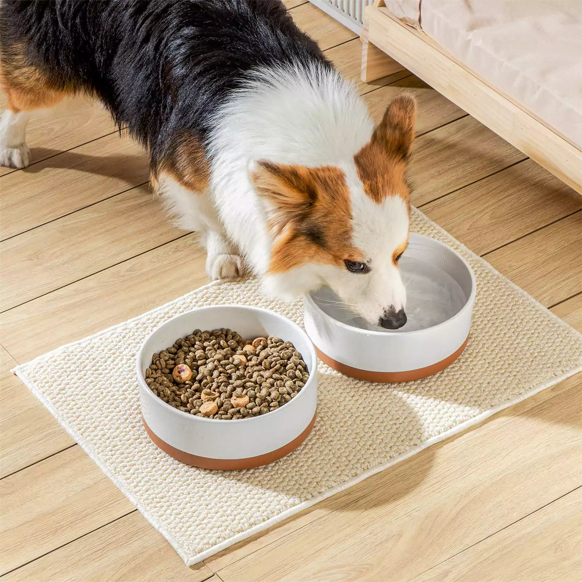 Tara Dog Bowls