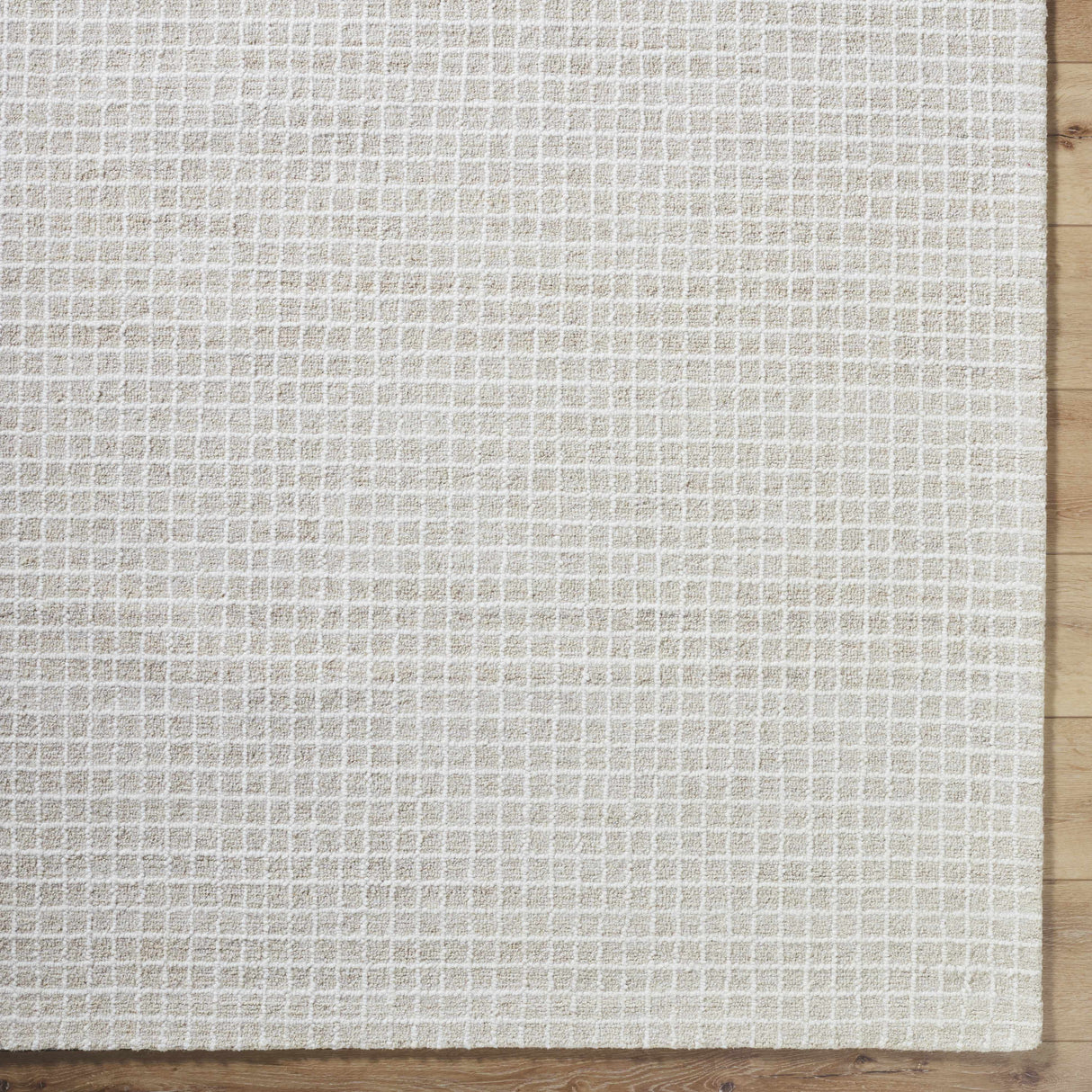 Anahid Bone Area Rug