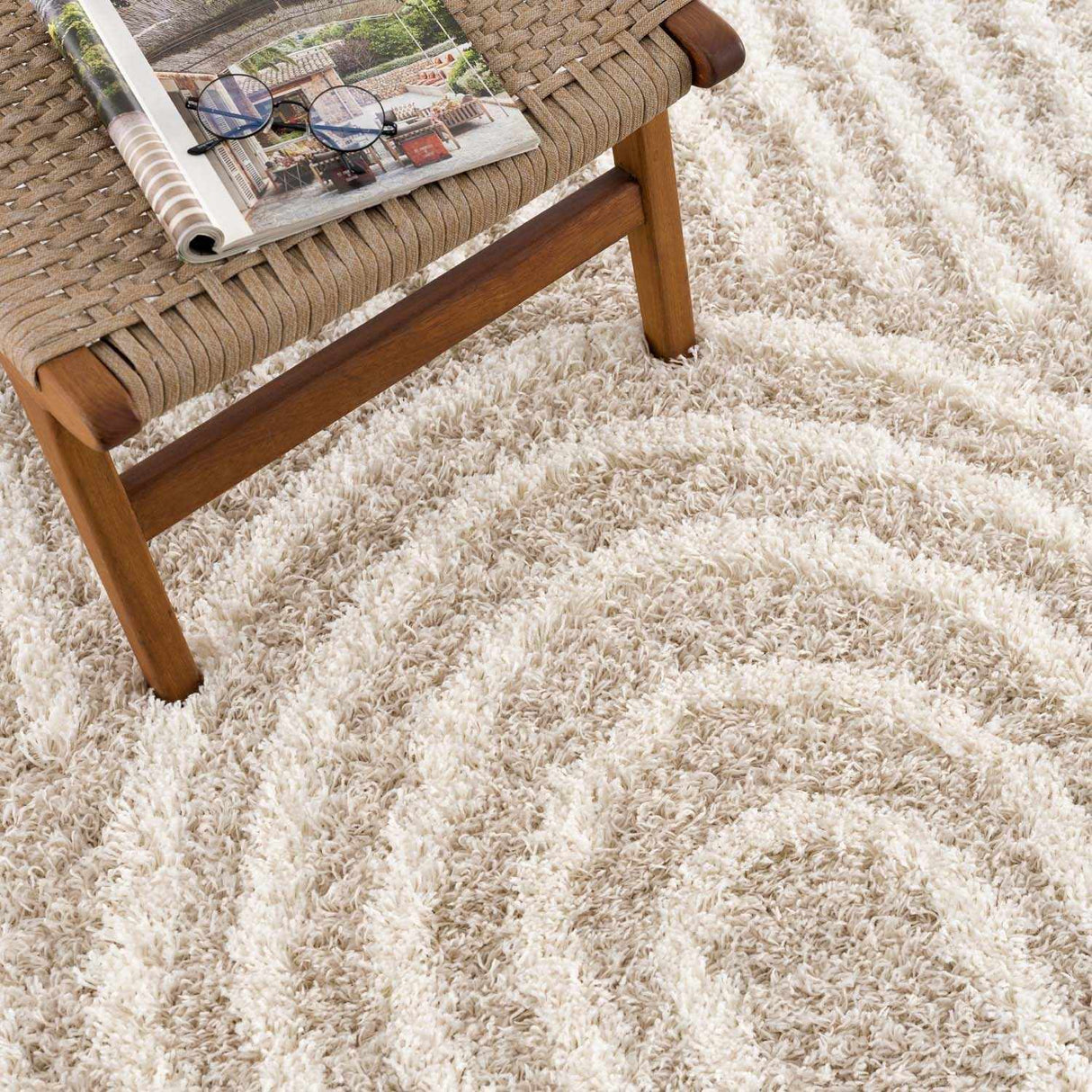 Emmly Shag Area Rug